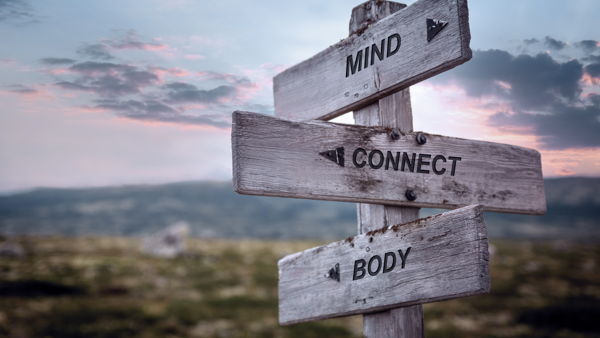 (Hold)The Mind/Body Connection: Neuroplasticity and Massage Therapy