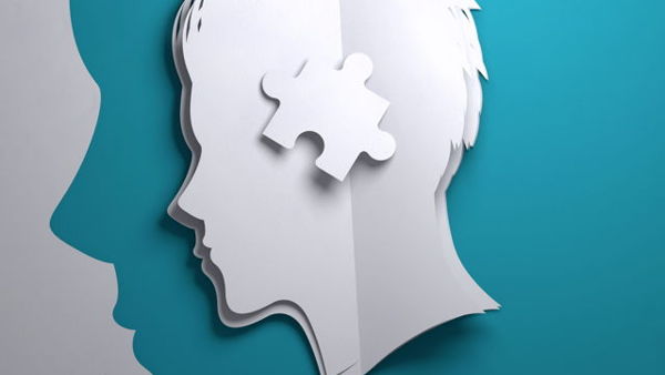 The Clinician's Guide to Helping Children and Families Navigate School-Based Stress Services Supports