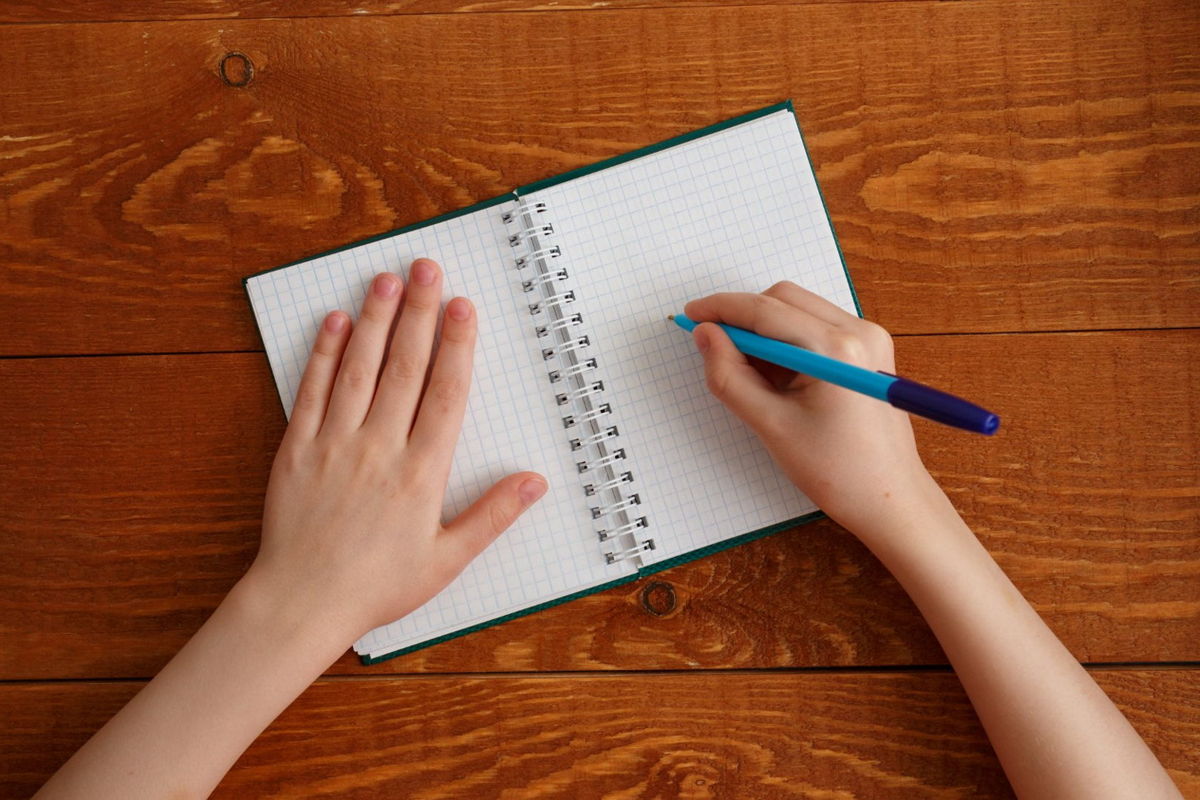 What Are DAP Notes?