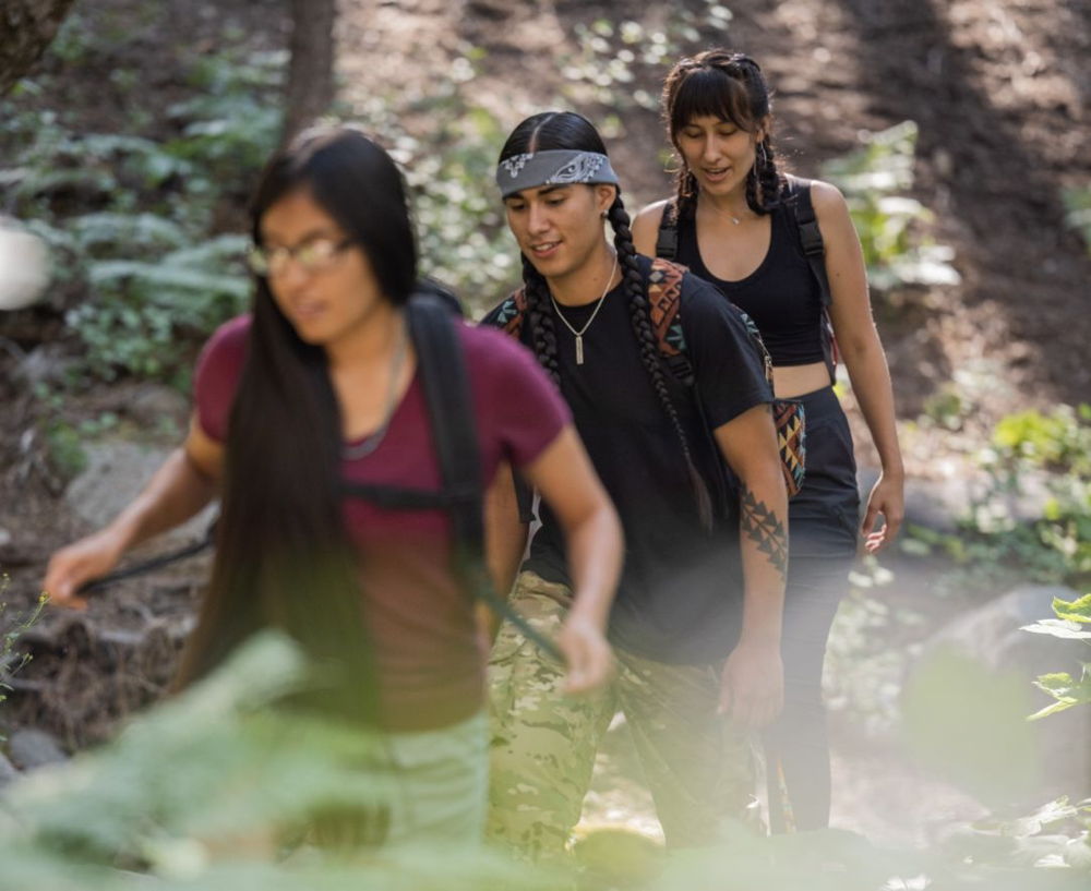 Social Networks, Cultural Pride, and Historical Loss Among Non-reservation American Indian/Alaska Native Emerging Adults