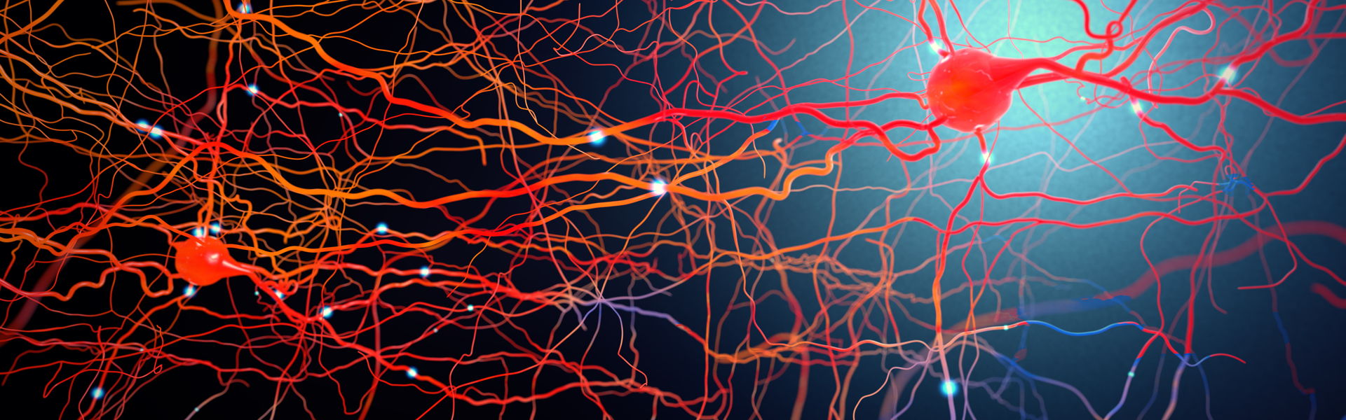 How To Incorporate Novel Pain Science Concepts Into Clinical Practice