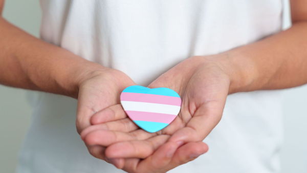 Standards of Care for the Health of Transgender and Gender Diverse People, Version 8