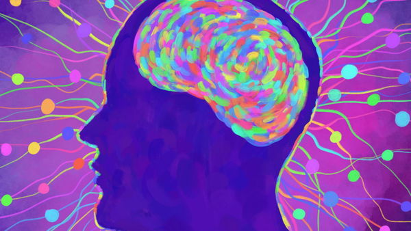 Safety, Connection, Engagement: A Nervous System Approach to Collaborative Healthcare