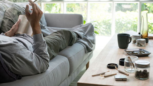 A Scoping Review of Risk and Protective Factors for Negative Cannabis Use Consequences