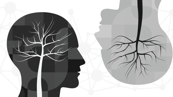 Healing Trauma With CBT and DBT: Practical Strategies and Techniques