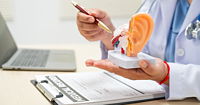 A doctor sits at a table  holding a model of an ear, discussing balance problems like dizziness and vertigo.