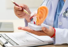 A doctor sits at a table  holding a model of an ear, discussing balance problems like dizziness and vertigo.