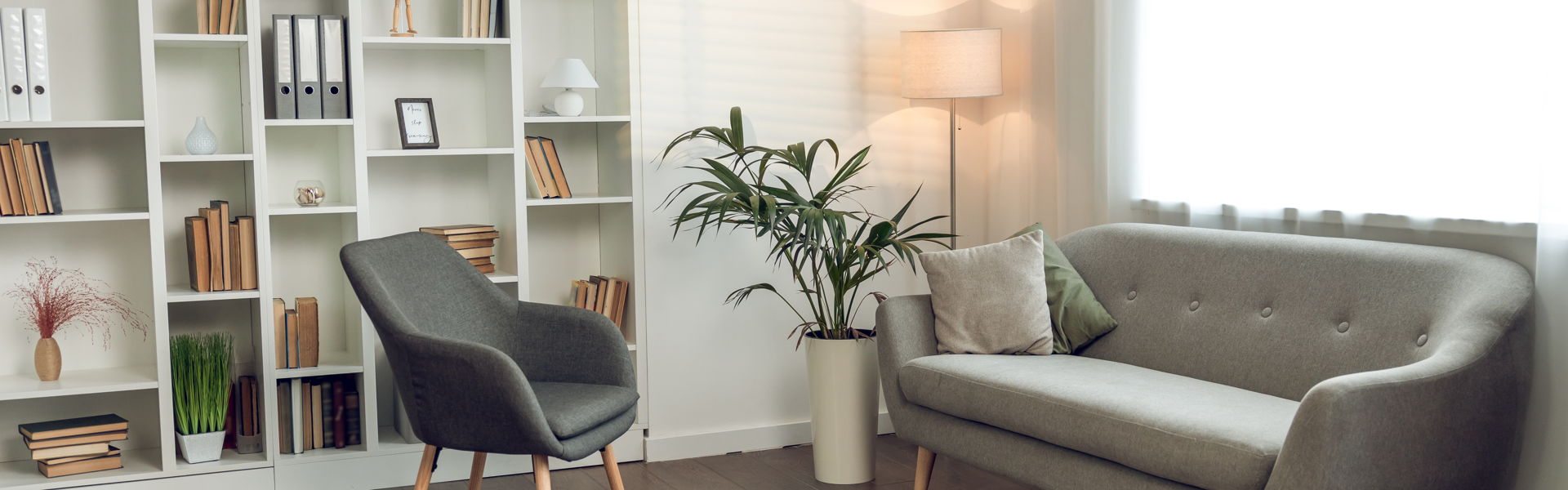 Regulate Release Reconnect: A Somatic Approach to Client Transformation