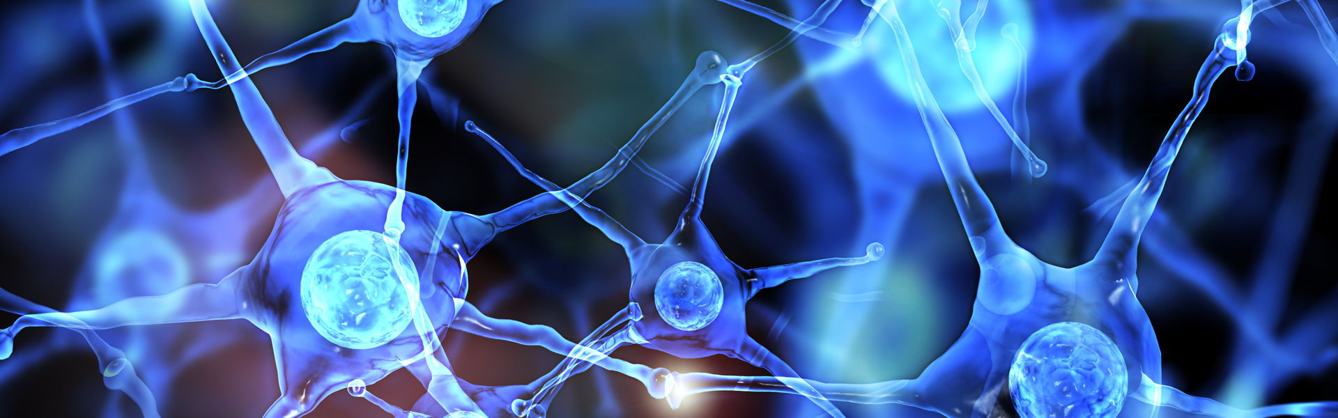 Five Nervous System Tools You Can Use in Your Next Session