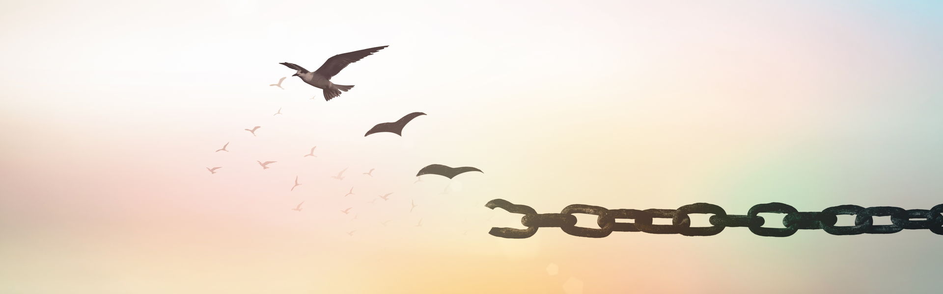 Understanding Religious Trauma to Support Clients' Quest for Wholeness