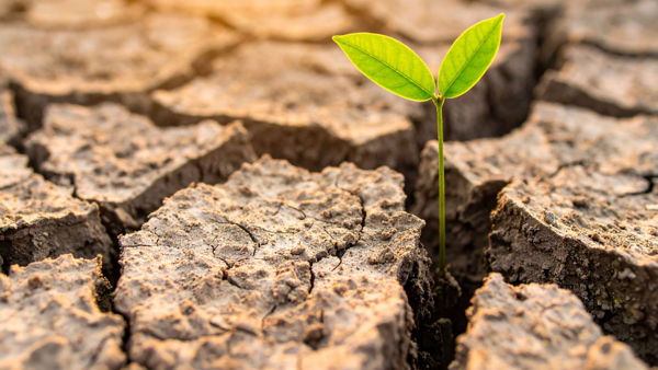 Posttraumatic Growth: Theory and Clinical Application