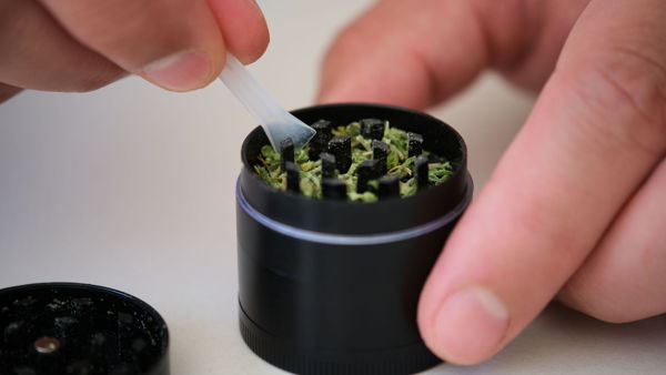 Patterns of Cannabis and Alcohol Co-Use