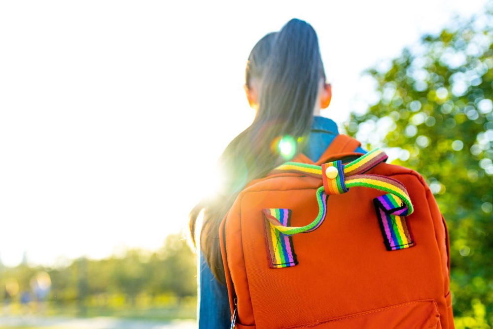 Supporting Safe and Healthy Schools for Lesbian, Gay, Bisexual, Transgender, and Queer Students: A National Survey for School Counselors, Social Workers, and Psychologists