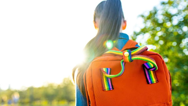 Supporting Safe and Healthy Schools for Lesbian, Gay, Bisexual, Transgender, and Queer Students: A National Survey for School Counselors, Social Workers, and Psychologists