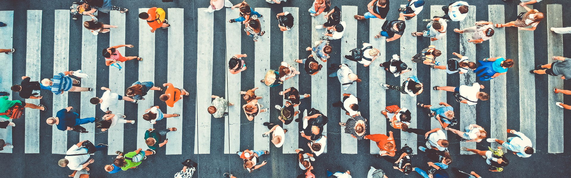 Exploring Social Determinants of Health