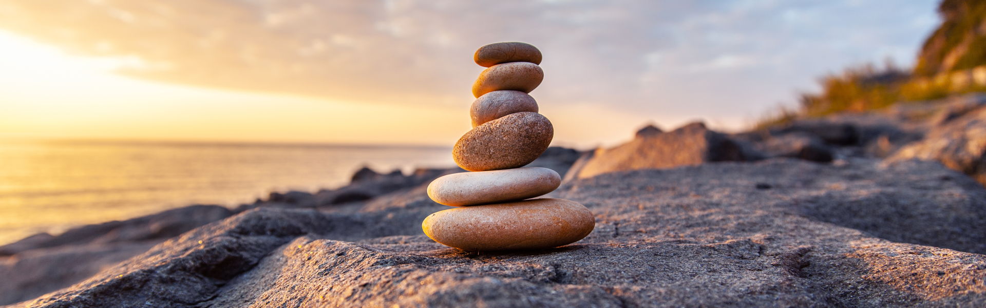 Somatic Healing: Transforming Trauma and Living Into Aliveness