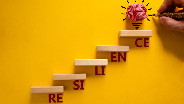 Skills for Supporting Resilience: A Trauma-Informed Training